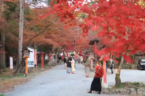 大原野神社の景色