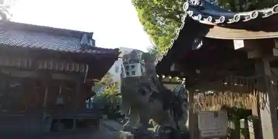 大井神社の狛犬