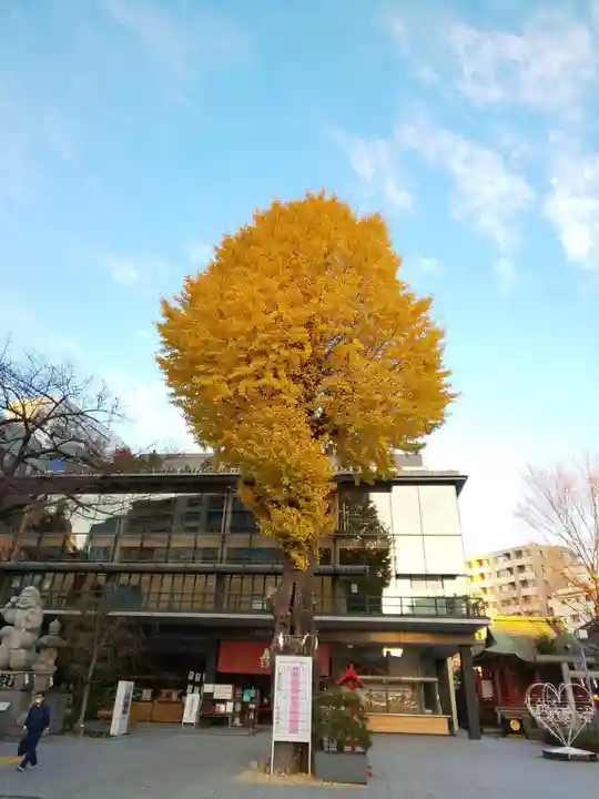 神田神社(神田明神)の自然