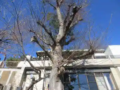 蓮花院(神奈川県)