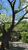 相馬神社のその他建物