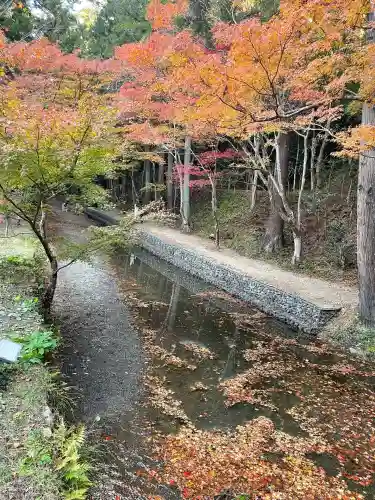小國神社(静岡県)
