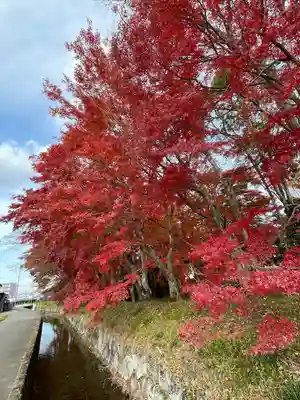 本誓寺(東本誓寺)(滋賀県)