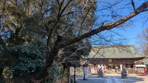 妻沼聖天山歓喜院の自然