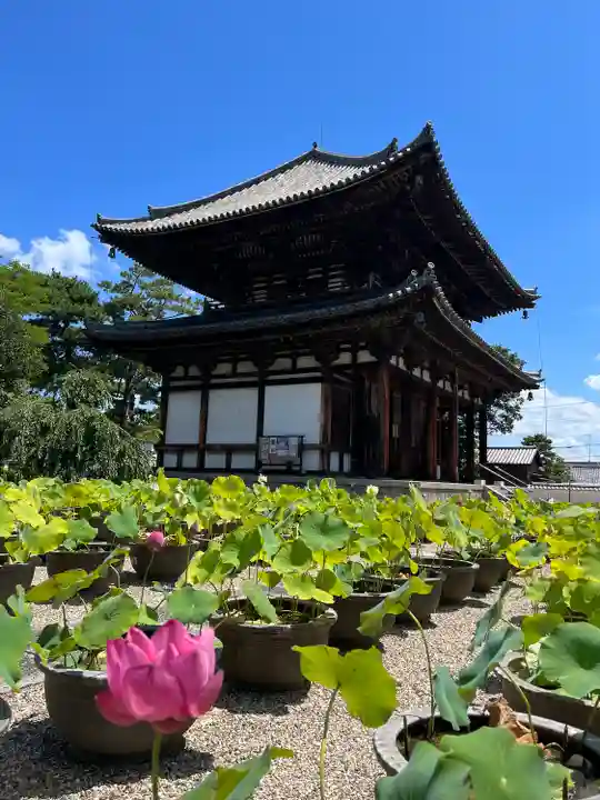 喜光寺(奈良県)