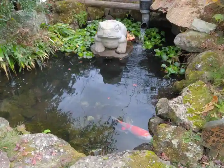 観音寺(神奈川県)