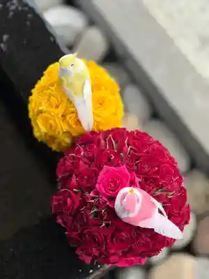 上尾御嶽神社の手水舎