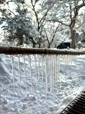 蚊里田八幡宮の{uncategorized: "未分類", other: "その他", undefined: "問題あり", building: "その他建物", grave: "お墓", sacred_gate: "鳥居", guardian: "狛犬", statue: "像", buddha: "仏像", history: "歴史", nature: "自然", garden: "庭園", animal: "動物", pagoda: "塔", temizu: "手水舎", mountain_gate: "山門・神門", sanctuary: "本殿・本堂", subordinate: "末社・摂社", art: "芸術", scenery: "景色", jizo: "地蔵", ema: "絵馬", goshuin: "御朱印", omikuji: "おみくじ", items: "授与品その他", amulet: "お守り", goshuincho: "御朱印帳", eats: "食事", festival: "お祭り", votive_dance: "神楽", shichigosan: "七五三参", wedding: "結婚式", experience: "体験その他", initially: "初詣", around: "周辺", anti_infection: "感染症対策"}
