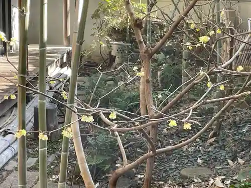 遠照山 光明寺（尼崎大仏）(兵庫県)