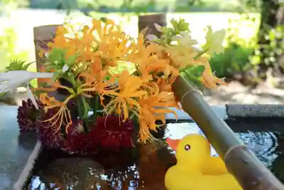高司神社〜むすびの神の鎮まる社〜の手水舎
