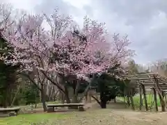 北海道神宮(北海道)