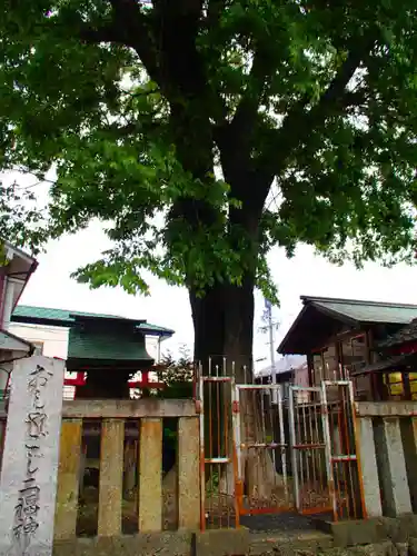 天王坊稲荷神社の末社