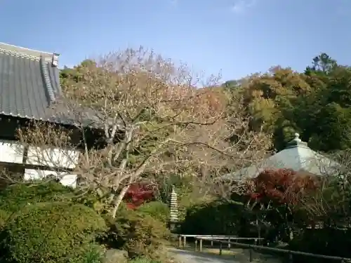 浄光明寺のその他建物