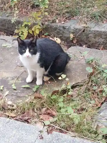 刺田比古神社(和歌山県)