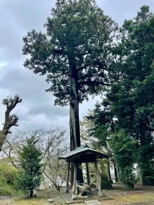 菅原神社の{uncategorized: "未分類", other: "その他", undefined: "問題あり", building: "その他建物", grave: "お墓", sacred_gate: "鳥居", guardian: "狛犬", statue: "像", buddha: "仏像", history: "歴史", nature: "自然", garden: "庭園", animal: "動物", pagoda: "塔", temizu: "手水舎", mountain_gate: "山門・神門", sanctuary: "本殿・本堂", subordinate: "末社・摂社", art: "芸術", scenery: "景色", jizo: "地蔵", ema: "絵馬", goshuin: "御朱印", omikuji: "おみくじ", items: "授与品その他", amulet: "お守り", goshuincho: "御朱印帳", eats: "食事", festival: "お祭り", votive_dance: "神楽", shichigosan: "七五三参", wedding: "結婚式", experience: "体験その他", initially: "初詣", around: "周辺", anti_infection: "感染症対策"}