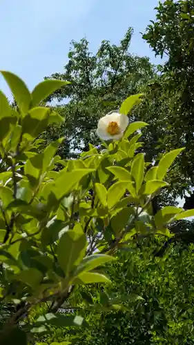 飛鳥寺(奈良県)