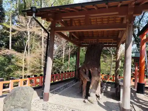 伏見稲荷大社 奥社奉拝所(京都府)