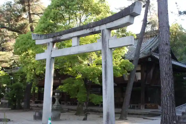 今宮神社(京都府)