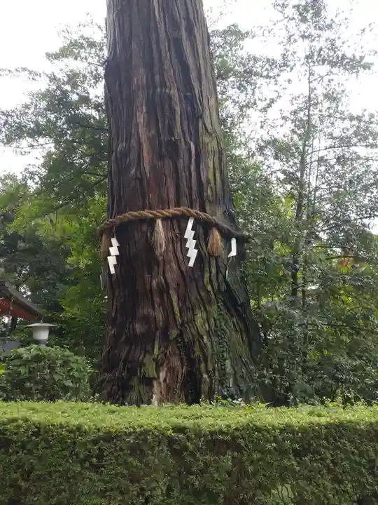 香取神宮(千葉県)