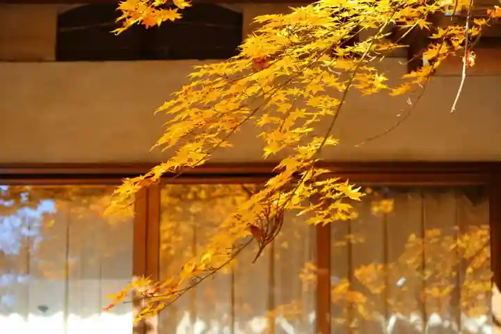 田村神社の自然