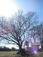 神明神社(千葉県)