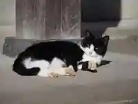 今市報徳二宮神社(栃木県)