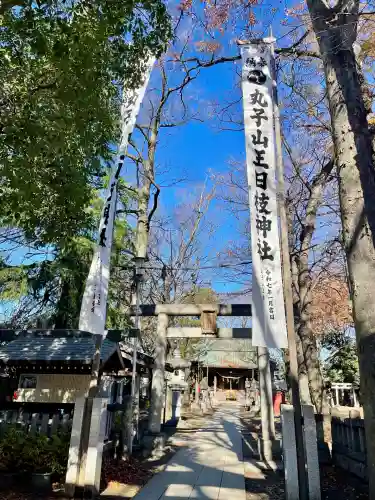 丸子山王日枝神社(神奈川県)