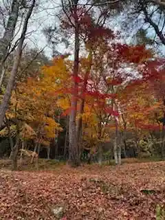 日枝神社(岐阜県)