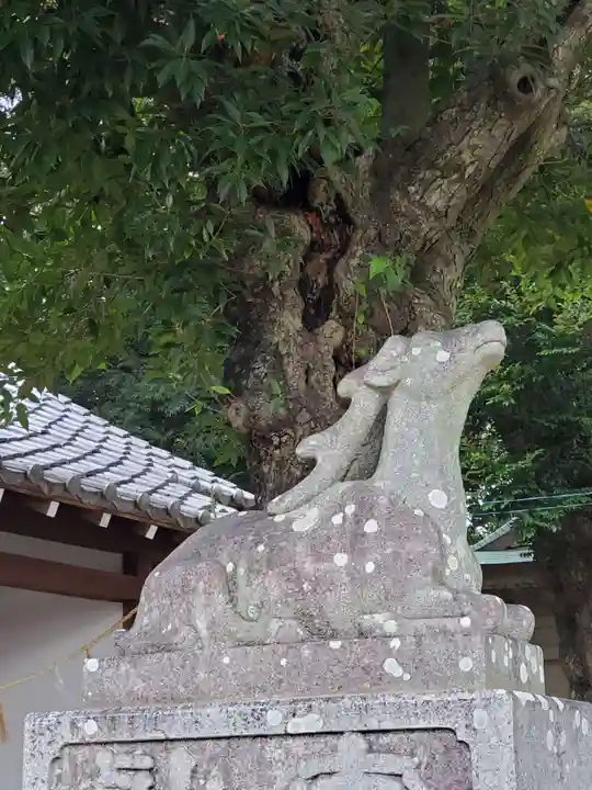 春日神社の狛犬