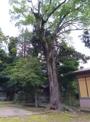 居神神社(神奈川県)