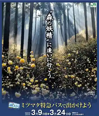 焼森山雷神神社(栃木県)