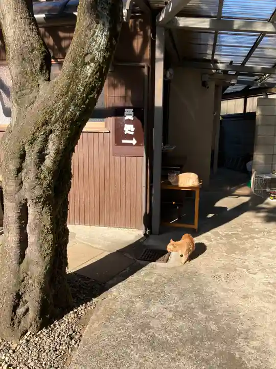 清巌寺(東京都)