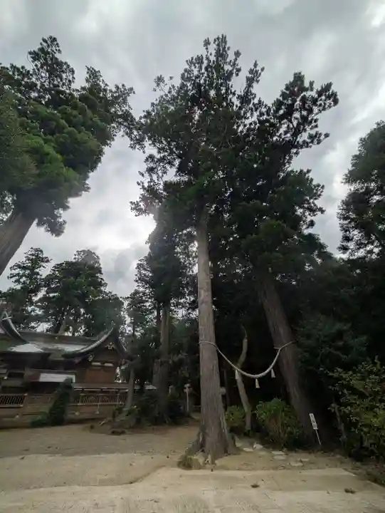 山倉大神(千葉県)