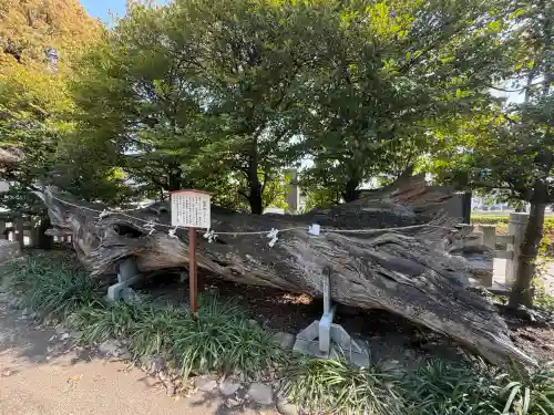 瀬戸神社の{uncategorized: "未分類", other: "その他", undefined: "問題あり", building: "その他建物", grave: "お墓", sacred_gate: "鳥居", guardian: "狛犬", statue: "像", buddha: "仏像", history: "歴史", nature: "自然", garden: "庭園", animal: "動物", pagoda: "塔", temizu: "手水舎", mountain_gate: "山門・神門", sanctuary: "本殿・本堂", subordinate: "末社・摂社", art: "芸術", scenery: "景色", jizo: "地蔵", ema: "絵馬", goshuin: "御朱印", omikuji: "おみくじ", items: "授与品その他", amulet: "お守り", goshuincho: "御朱印帳", eats: "食事", festival: "お祭り", votive_dance: "神楽", shichigosan: "七五三参", wedding: "結婚式", experience: "体験その他", initially: "初詣", around: "周辺", anti_infection: "感染症対策"}