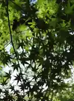 瀧宮神社(広島県)