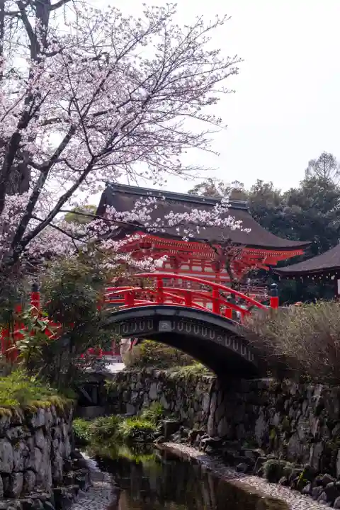 賀茂御祖神社(下鴨神社)(京都府)