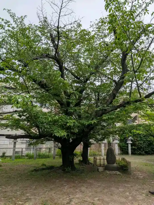 真田山 三光神社の{uncategorized: "未分類", other: "その他", undefined: "問題あり", building: "その他建物", grave: "お墓", sacred_gate: "鳥居", guardian: "狛犬", statue: "像", buddha: "仏像", history: "歴史", nature: "自然", garden: "庭園", animal: "動物", pagoda: "塔", temizu: "手水舎", mountain_gate: "山門・神門", sanctuary: "本殿・本堂", subordinate: "末社・摂社", art: "芸術", scenery: "景色", jizo: "地蔵", ema: "絵馬", goshuin: "御朱印", omikuji: "おみくじ", items: "授与品その他", amulet: "お守り", goshuincho: "御朱印帳", eats: "食事", festival: "お祭り", votive_dance: "神楽", shichigosan: "七五三参", wedding: "結婚式", experience: "体験その他", initially: "初詣", around: "周辺", anti_infection: "感染症対策"}