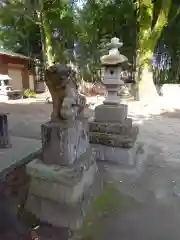 栢山神社の狛犬