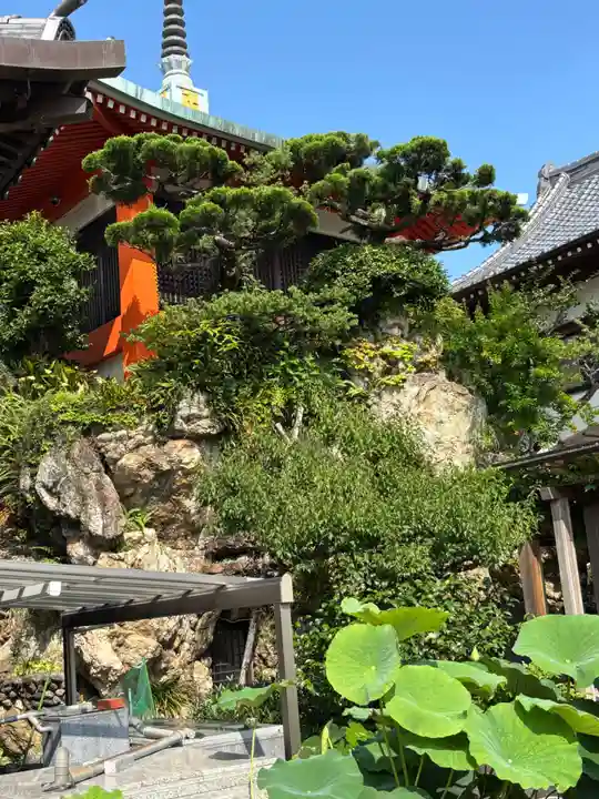 極楽寺(高知県)