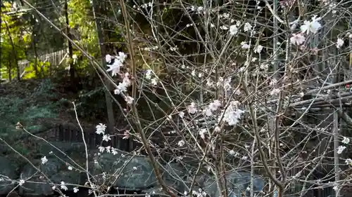 相馬中村神社(福島県)