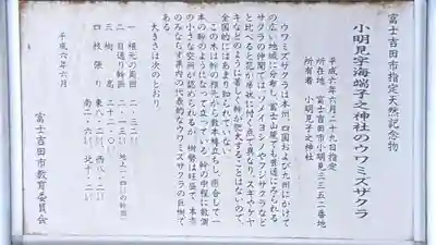 甲子神社(山梨県)