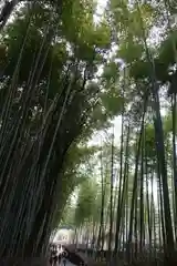 御髪神社(京都府)