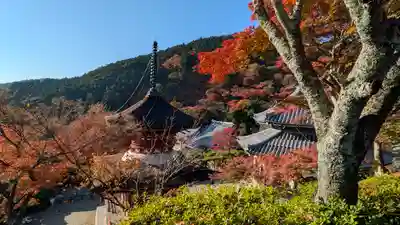 善峯寺(京都府)