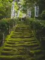 苔の階段