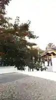 田縣神社の自然