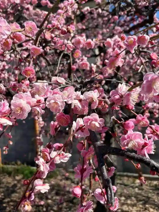 難波熊野神社の{uncategorized: "未分類", other: "その他", undefined: "問題あり", building: "その他建物", grave: "お墓", sacred_gate: "鳥居", guardian: "狛犬", statue: "像", buddha: "仏像", history: "歴史", nature: "自然", garden: "庭園", animal: "動物", pagoda: "塔", temizu: "手水舎", mountain_gate: "山門・神門", sanctuary: "本殿・本堂", subordinate: "末社・摂社", art: "芸術", scenery: "景色", jizo: "地蔵", ema: "絵馬", goshuin: "御朱印", omikuji: "おみくじ", items: "授与品その他", amulet: "お守り", goshuincho: "御朱印帳", eats: "食事", festival: "お祭り", votive_dance: "神楽", shichigosan: "七五三参", wedding: "結婚式", experience: "体験その他", initially: "初詣", around: "周辺", anti_infection: "感染症対策"}