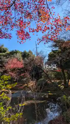 法金剛院(京都府)
