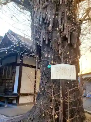 稼穡稲荷社(東京都)