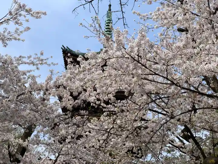 上野東照宮の自然