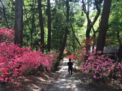 唐澤山神社の周辺